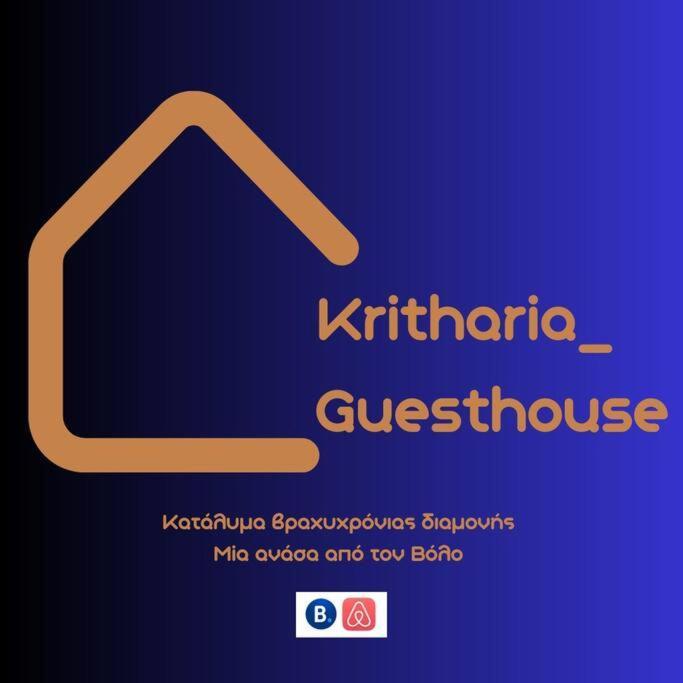Kritharia Guesthouse Volos Zewnętrze zdjęcie