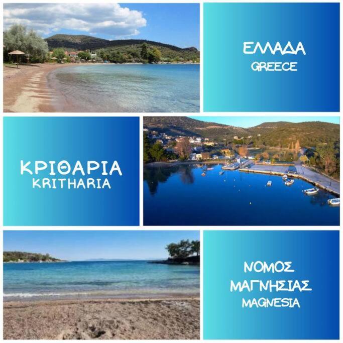 Kritharia Guesthouse Volos Zewnętrze zdjęcie