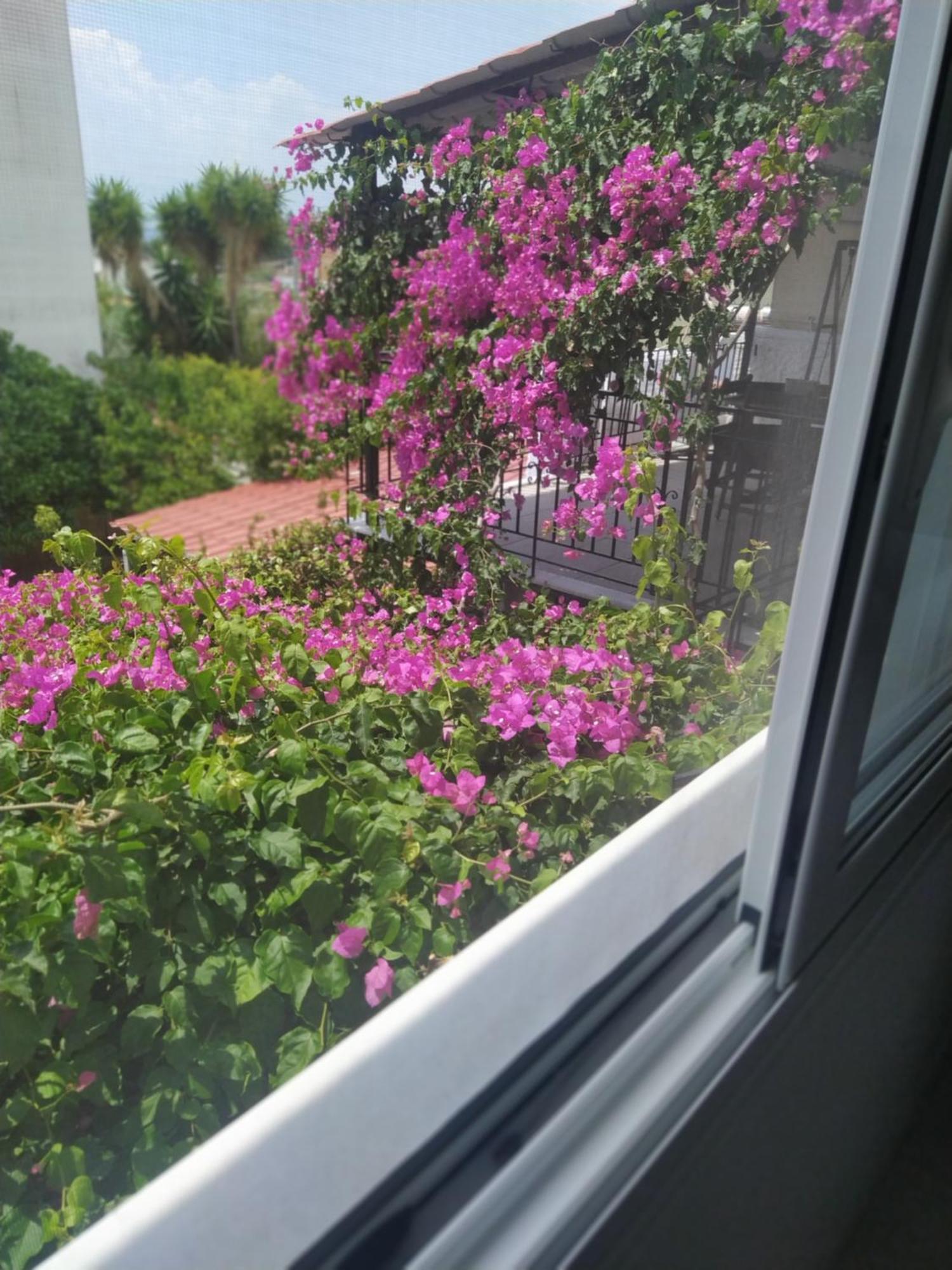Kritharia Guesthouse Volos Zewnętrze zdjęcie